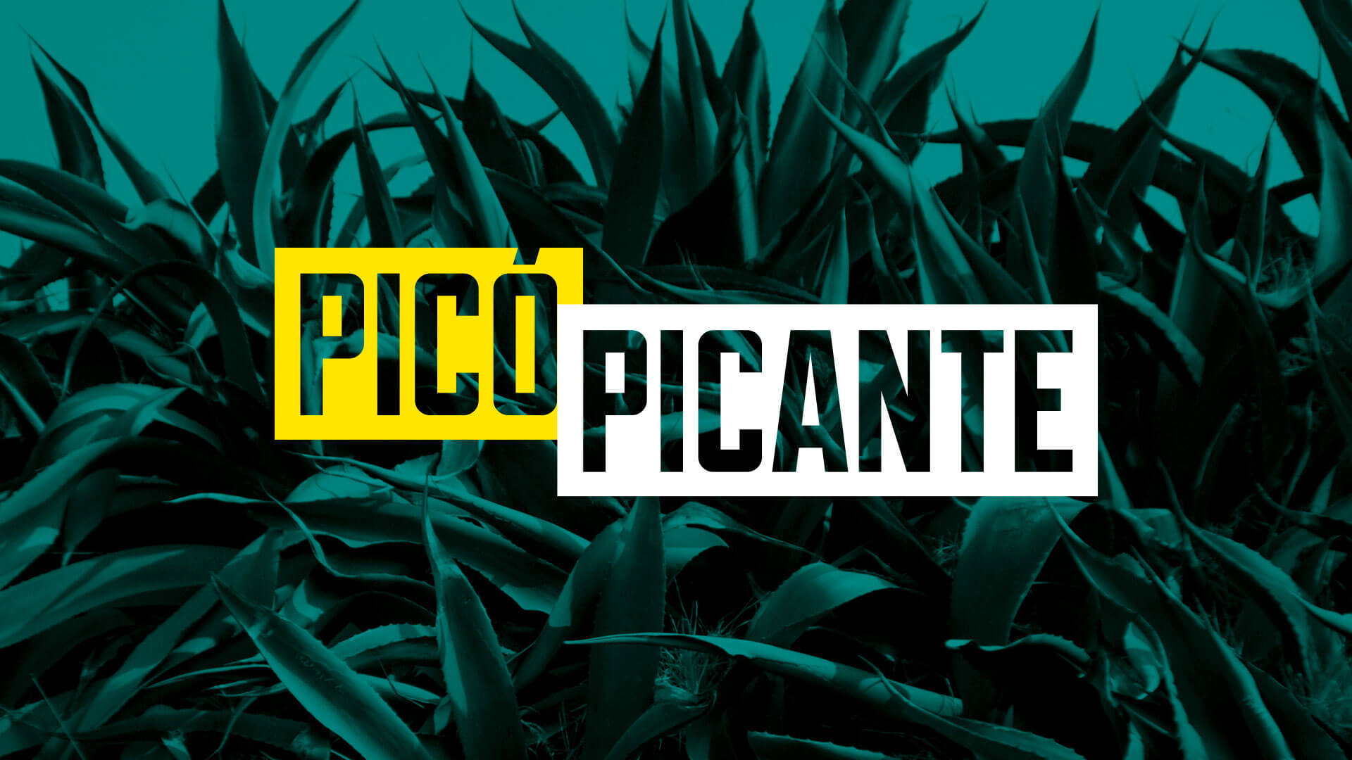 studio-malagon-pico-picante-brand-plant